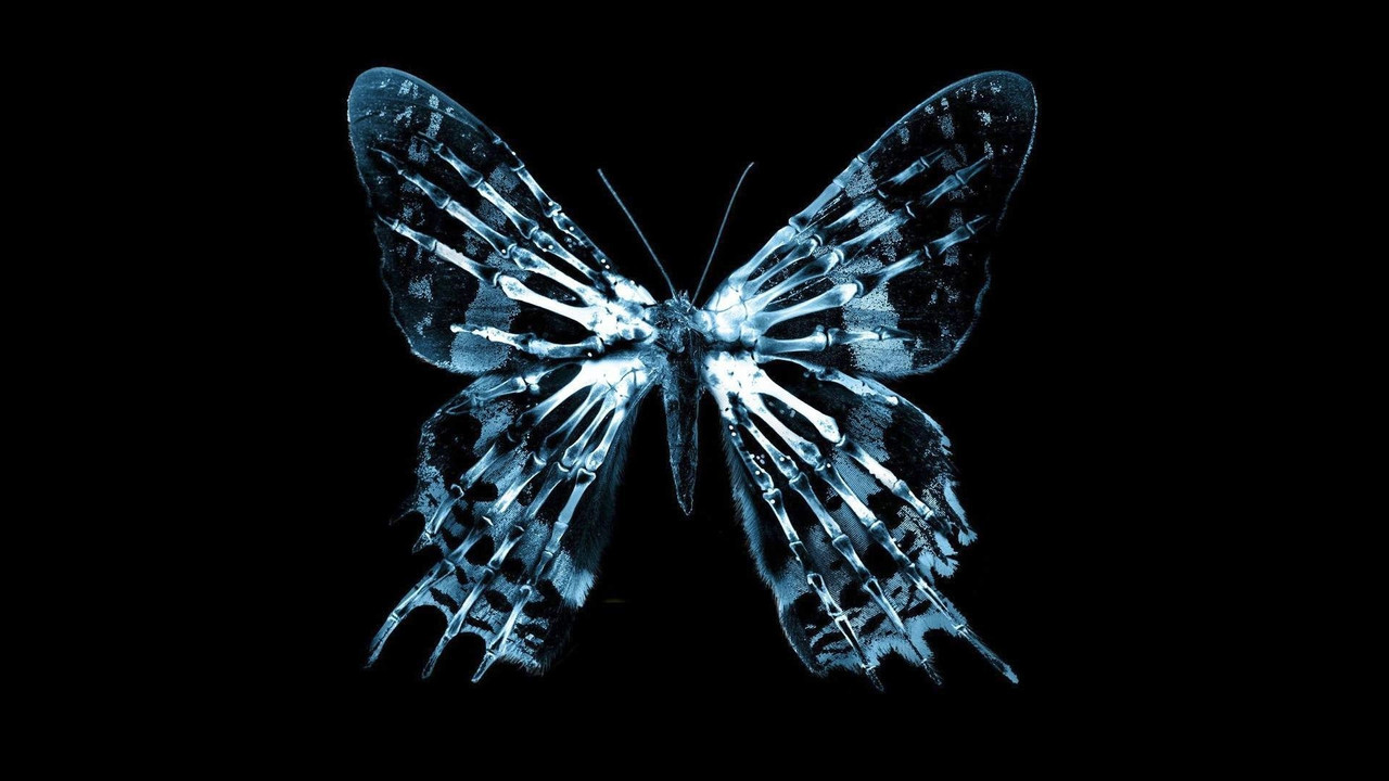 The Butterfly Effect Collection background
